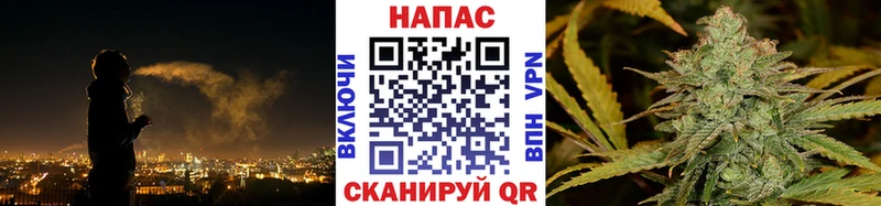 Канабис планчик  Калининск 